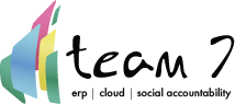 Team 7 Consulting